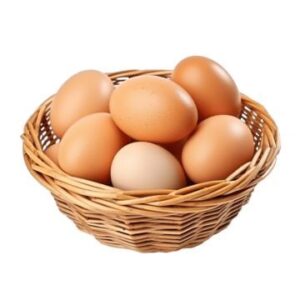 Telur Ayam Omega 10 Butir